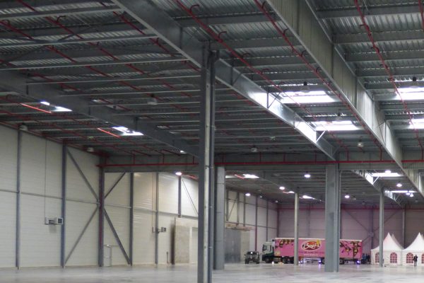 Unité fabrication chips ALTHO Le Pouzin intérieur hangar