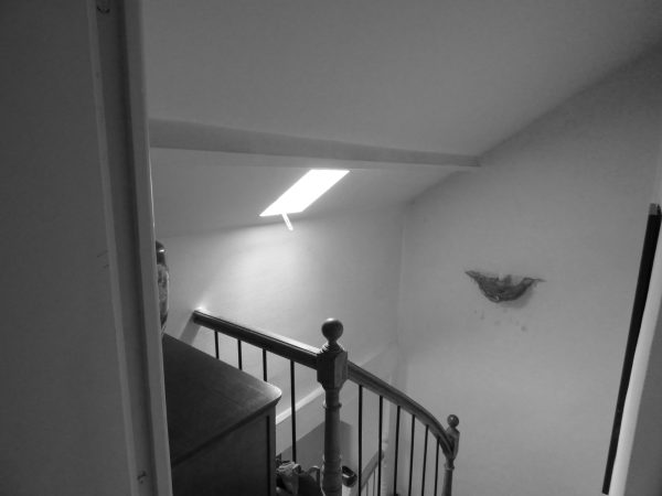 Extension restructuration maison individuelle Rennes existant escalier